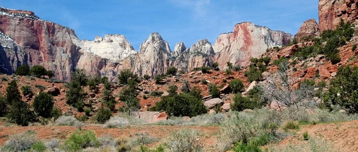 Zion-10x4.3-72dpi-0090