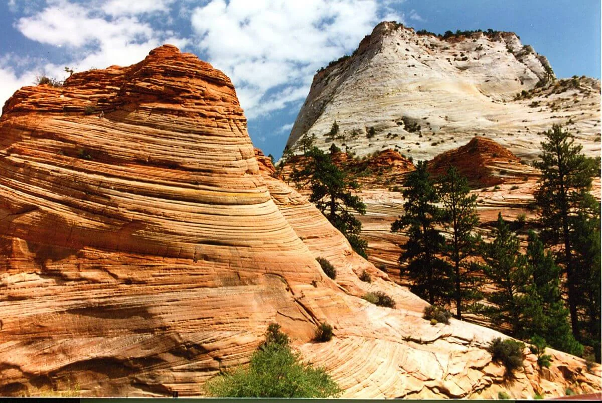 Zion-5x3.3-300-dpi-1-1200x803