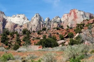 Zion-10x4.3-72dpi-0090